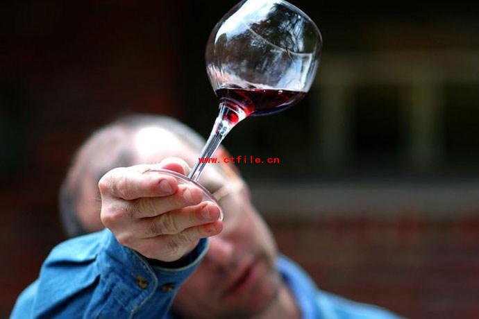 红葡萄酒鉴赏手册.pdf如何专业的试酒点评红葡萄酒？